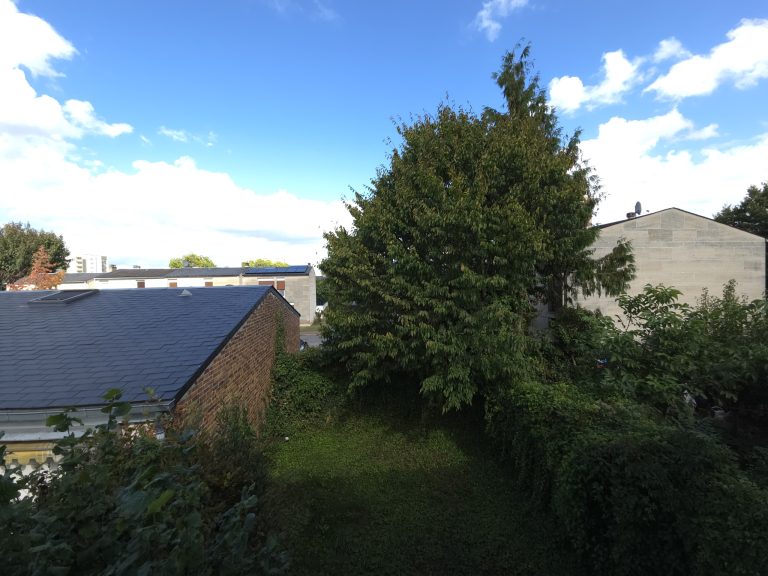 photo_1de1013e75a2f7c65e631c887d603e38