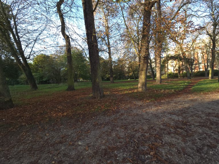 photo_9d2c03a94f5dfa0dca20418420684aed