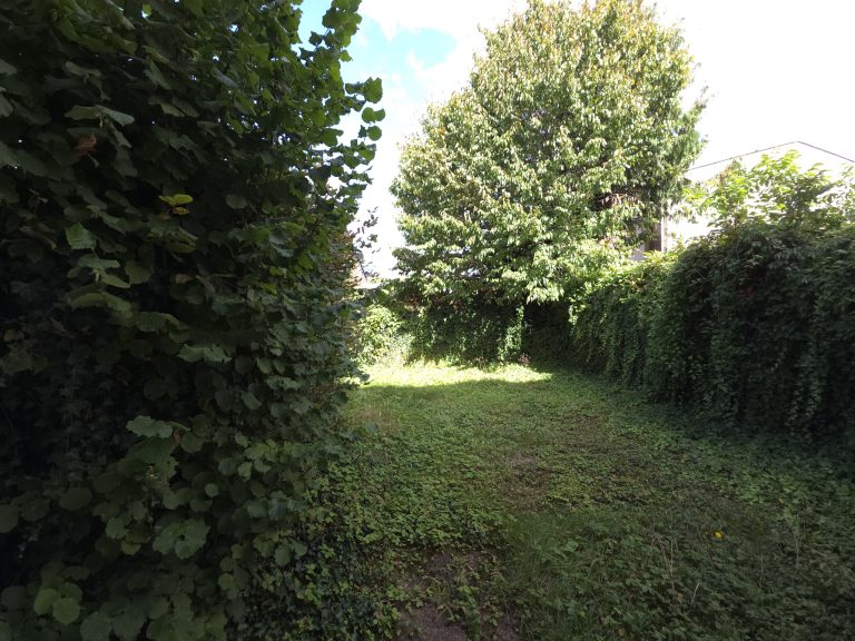 photo_ed8e37a4045bece01818b42c94daa5fd